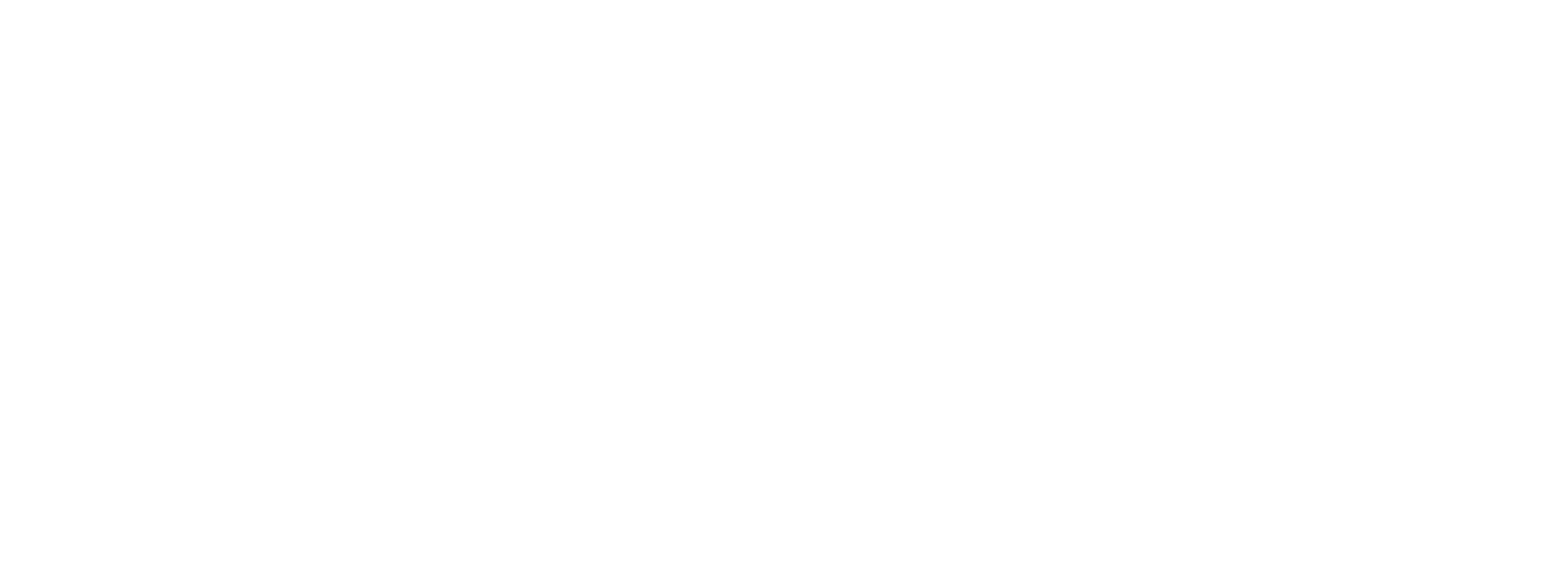 Logo DLH